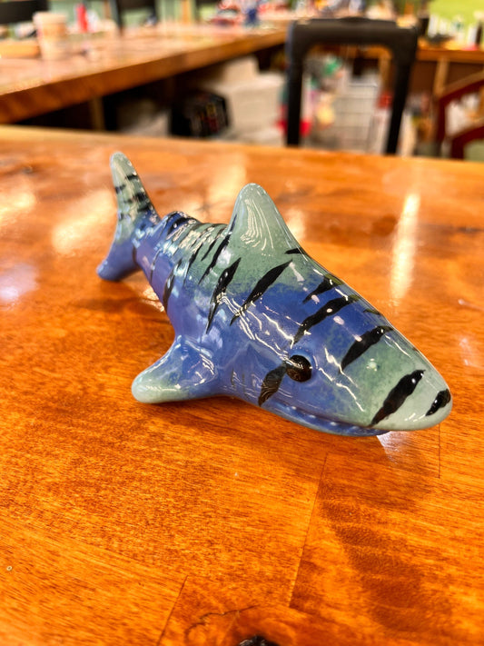 Blue Tiger Shark